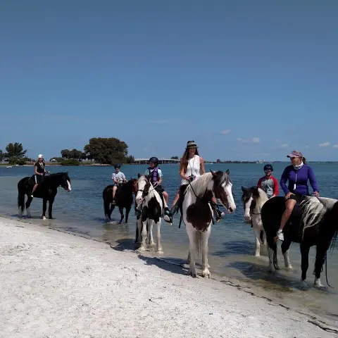 A tour group being led on a ride on the beach