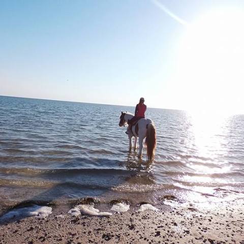 A woman sitting horseback on the beach