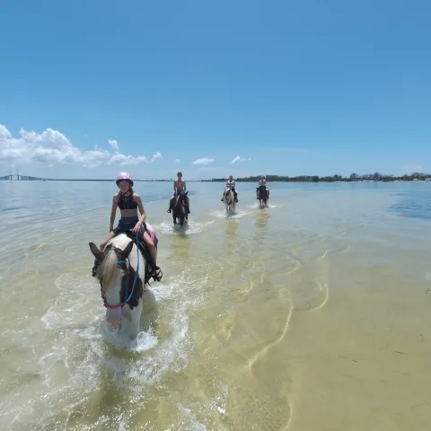 A group of riders on horseback walking through water