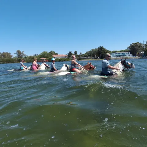 A tour group being led on a ride on the beach