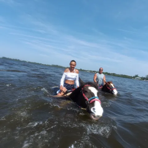 A group of riders on horseback walking through water
