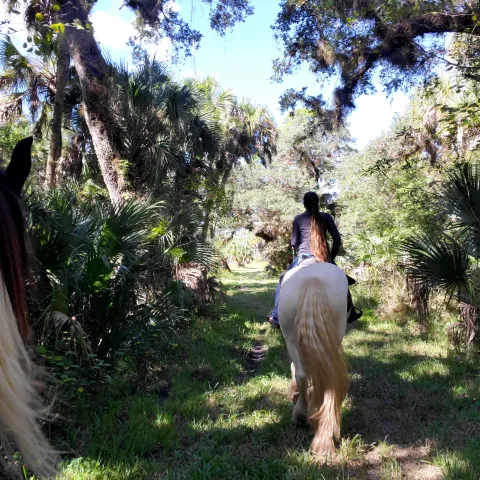 A tour group riding through Alafia state park