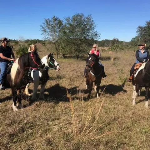 A tour group riding through Alafia state park