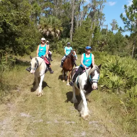 A tour group riding through Alafia state park