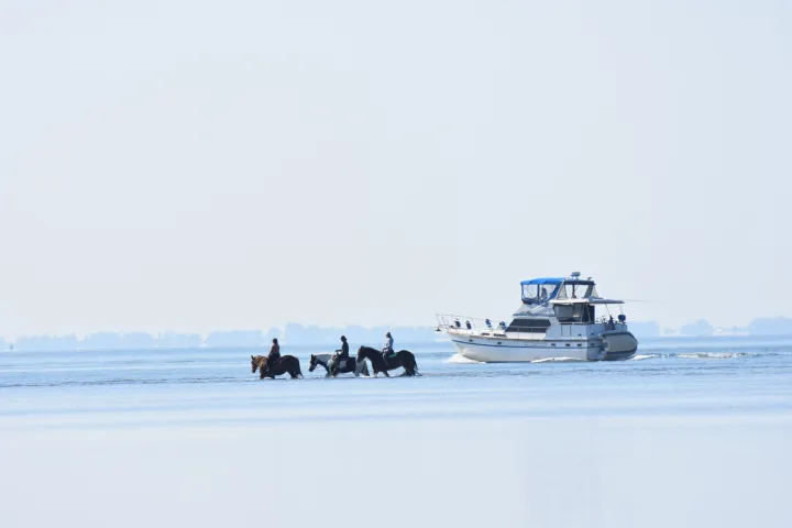 a group of people riding horses in a body of water with a boat behind them