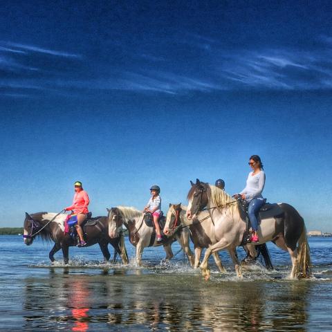 A group of riders on horseback walking through water