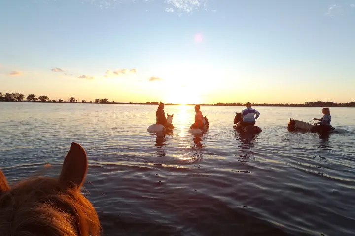 a group of people riding on horses in the water at sunset