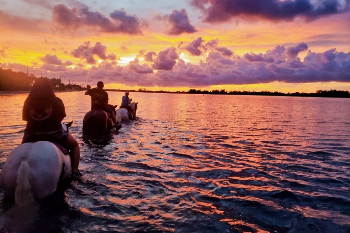 a group of people in a large body of water