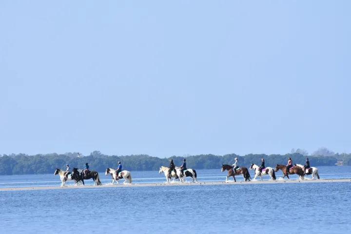 a group of people on a beach