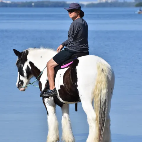 a person riding a horse in a body of water