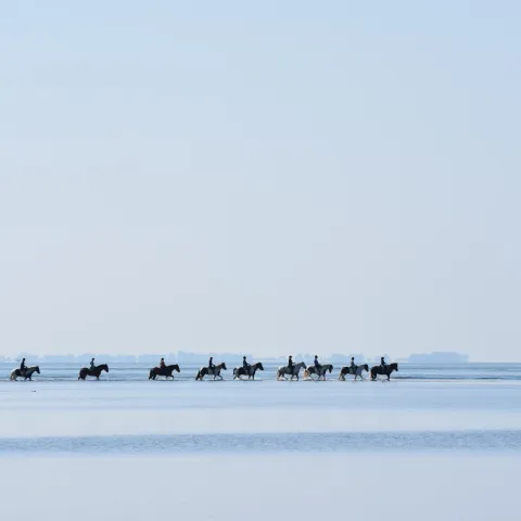 a group of people riding horses in the water