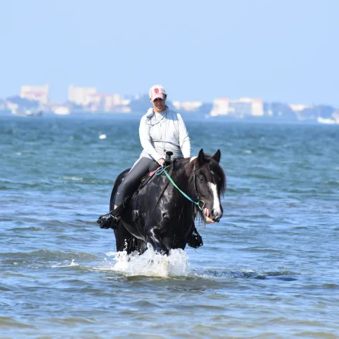 a person riding a horse in a body of water