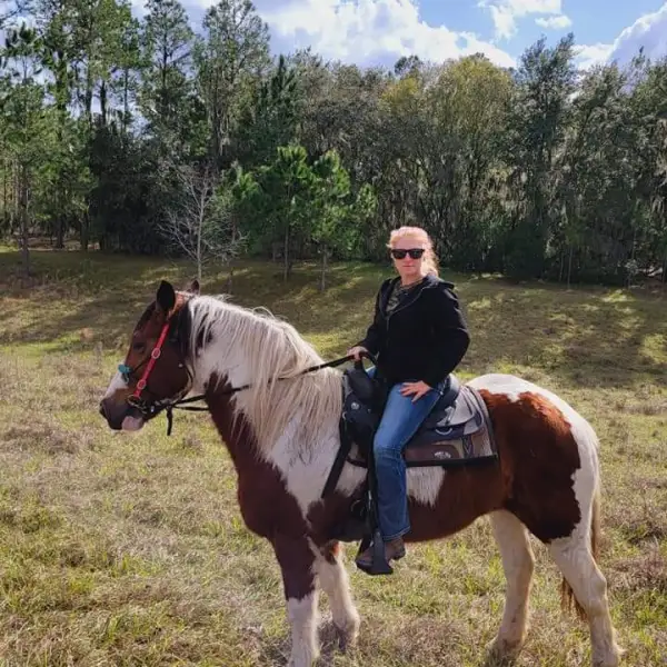 a person riding a horse in a field