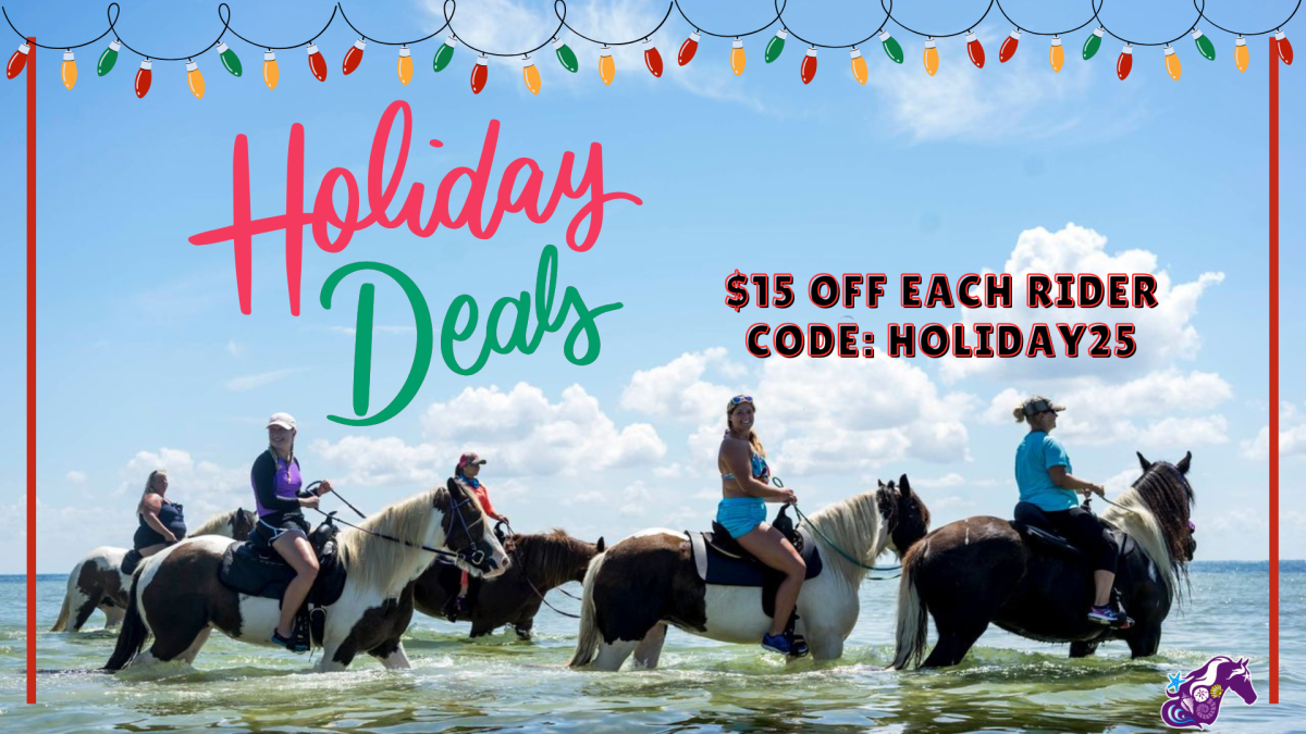 People riding horses in water under holiday lights, text reads 'Holiday Deals' and a discount code.